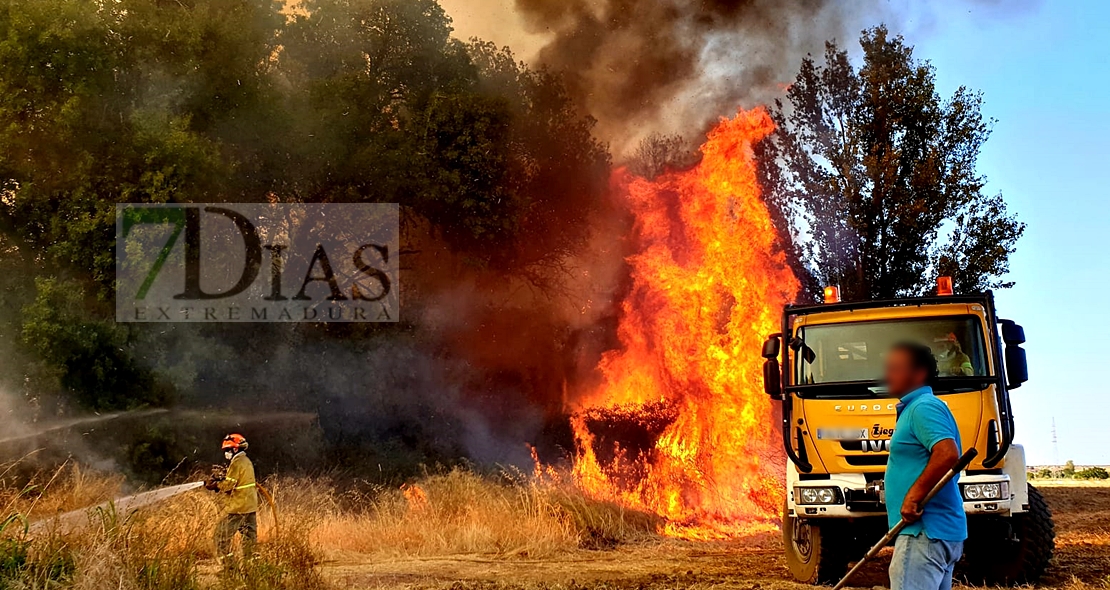 Incendio forestal activo en Alvarado (Badajoz)