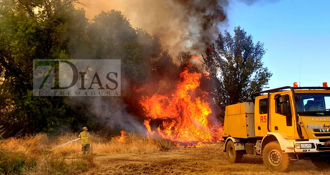 Incendio forestal activo en Alvarado (Badajoz)