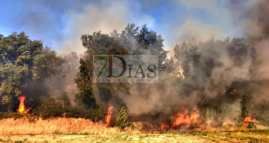 Incendio forestal activo en Alvarado (Badajoz)