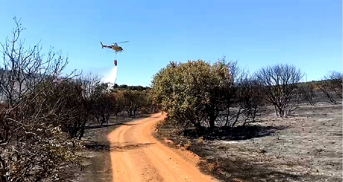 Incendio forestal Nivel 1 en Calzadilla de los Barros (BA)