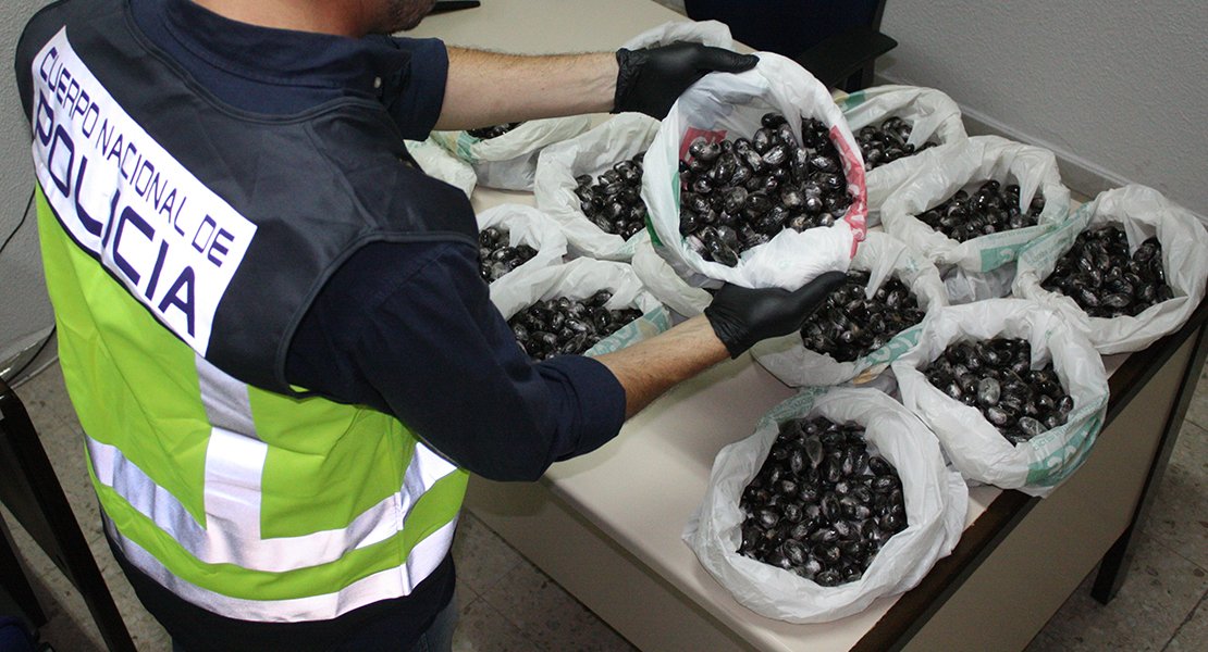 Lo detienen por portar 15 kilos de hachís que iba a distribuir en Badajoz