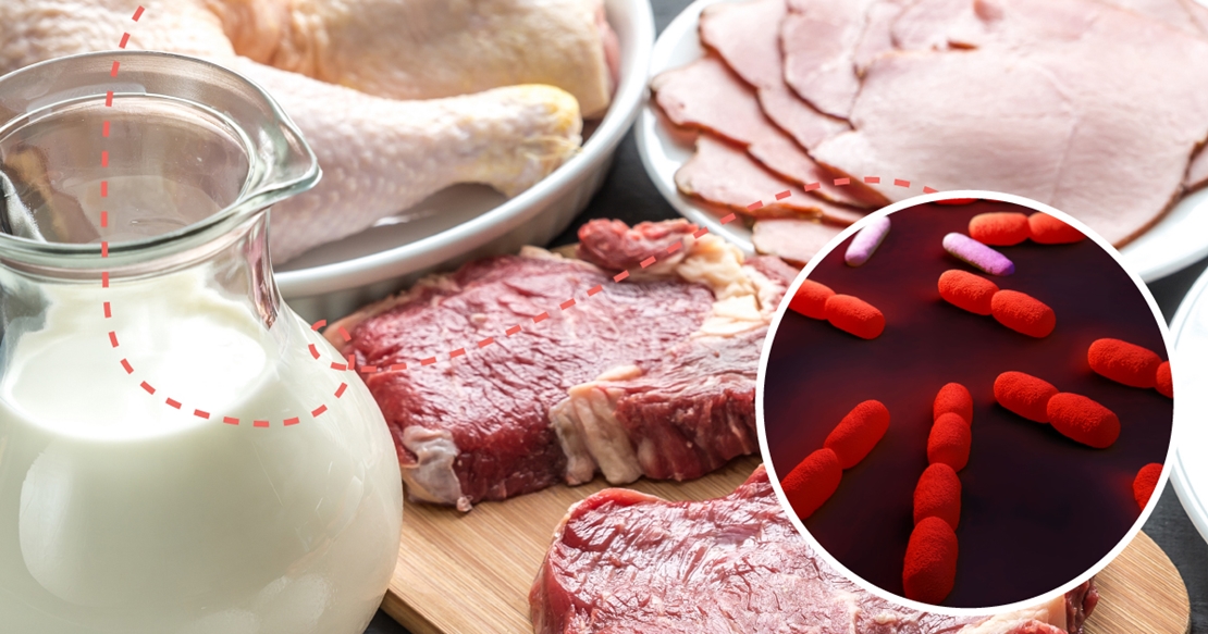 Confirman un caso de listeriosis en Extremadura. La Junta llama a la tranquilidad