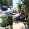 Cae una rama de un árbol encima de dos mujeres en Badajoz