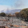 Incendio forestal Nivel 1 en Calzadilla de los Barros (BA)