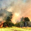 Incendio forestal activo en Alvarado (Badajoz)