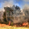 Incendio forestal activo en Alvarado (Badajoz)