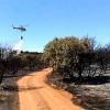 Incendio forestal Nivel 1 en Calzadilla de los Barros (BA)