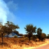 Incendio forestal Nivel 1 en Calzadilla de los Barros (BA)