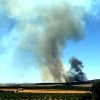 Incendio forestal Nivel 1 en Calzadilla de los Barros (BA)