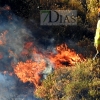 Incendio activo en Valdebótoa (Badajoz)