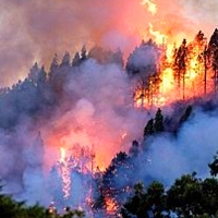 3.400 hectáreas quemadas y más de 5.000 desalojados en el incendio de Gran Canaria