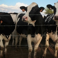 Cambiar el sistema alimentario para salvar el planeta