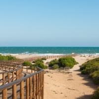 Nuevo ataque de un pez en una playa de Alicante
