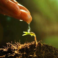 La Junta promueve utilizar compost procedente de residuos como abono