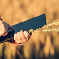 Usa esta aplicación en tu móvil para encontrar trabajadores agrícolas