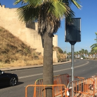 PRECAUCIÓN: Cortes en la Ronda de Circunvalación por obras de asfaltado