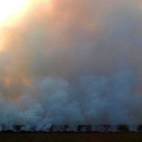 Una gran columna de humo alerta a los pacenses