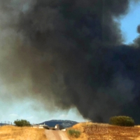 Un incendio forestal en Palomas moviliza a varios parques del CPEI