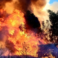Detienen a nueve personas por provocar 11 incendios en seis provincias, entre ellas Cáceres