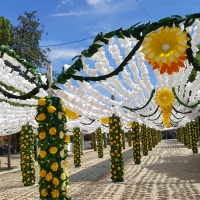 GALERÍA - VII Jardim de Papel en Campo Maior