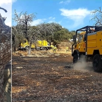 Un rayo origina un incendio en Berzocana (Cáceres)