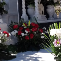 ‘Contra el olvido’ en el cementerio de Mérida