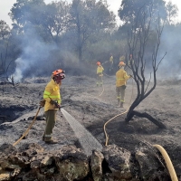 Los bomberos forestales trabajaron en 5 incendios causados por rayos