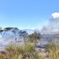 Cuatro incendios en Extremadura durante la jornada de ayer