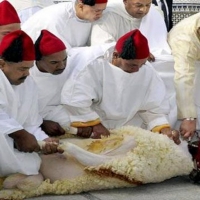 20.000 musulmanes celebran en Extremadura la Fiesta del Sacrificio