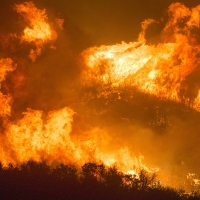 Ecologistas en Acción pide que se declare la emergencia climática en Gran Canaria