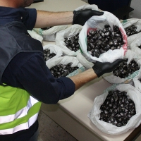 Detenido por portar 15 kilos de hachís que iba a distribuir en Badajoz