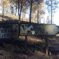 Bomberos extremeños se unen a la lucha contra el fuego en Gran Canaria