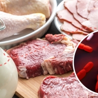 Confirman un caso de listeriosis en Extremadura. La Junta llama a la tranquilidad