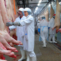 Preocupación de los ganaderos por el incremento en el acceso de carne de EEUU en Europa