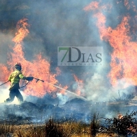 Incendio activo en Valdebótoa (Badajoz)