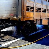 Incendio y accidente en dos tráilers cargados de ganado (BA)