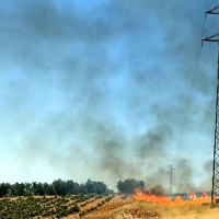 Los Bomberos del CPEI controlan un incendio de pastos cercano a Villafranca