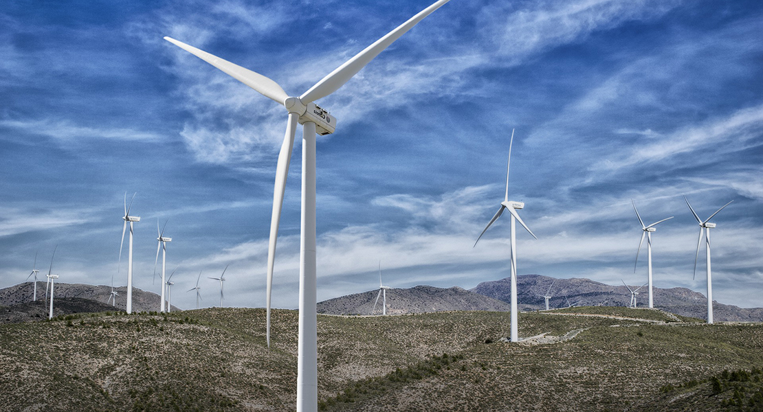 SEO/BirdLife en contra de los cinco proyectos eólicos presentados por el Instituto de Energías Renovables