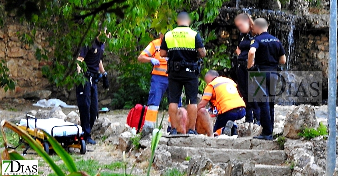 Un perro es abatido por la Policía tras atacar gravemente a su dueña en Badajoz