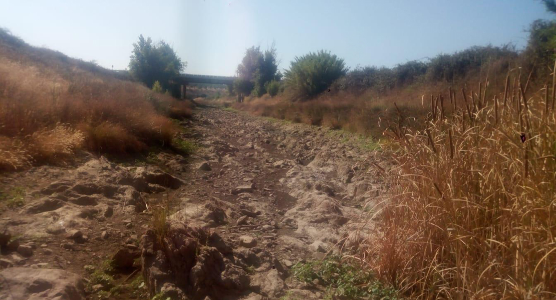 Ecologistas en Acción se plantea tomar acciones legales contra la Confederación Hidrográfica del Guadiana