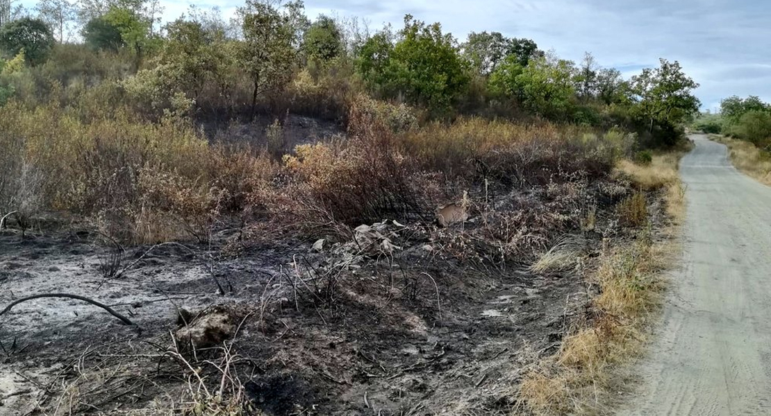 Los bomberos forestales realizaron 7 intervenciones este lunes en Extremadura