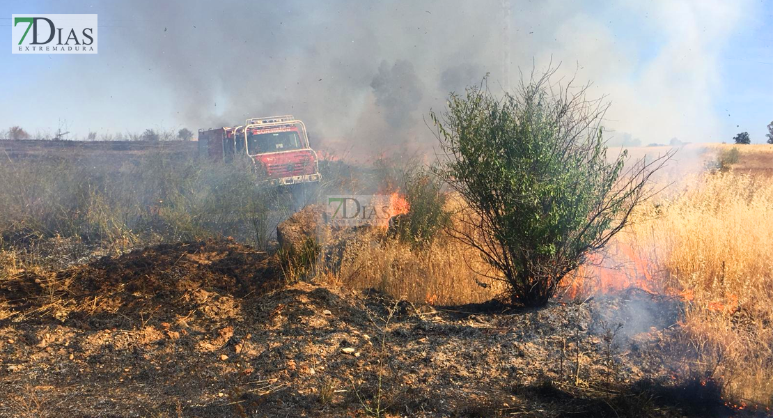 Grave incendio de pastos cercano a Las Vaguadas (Badajoz)