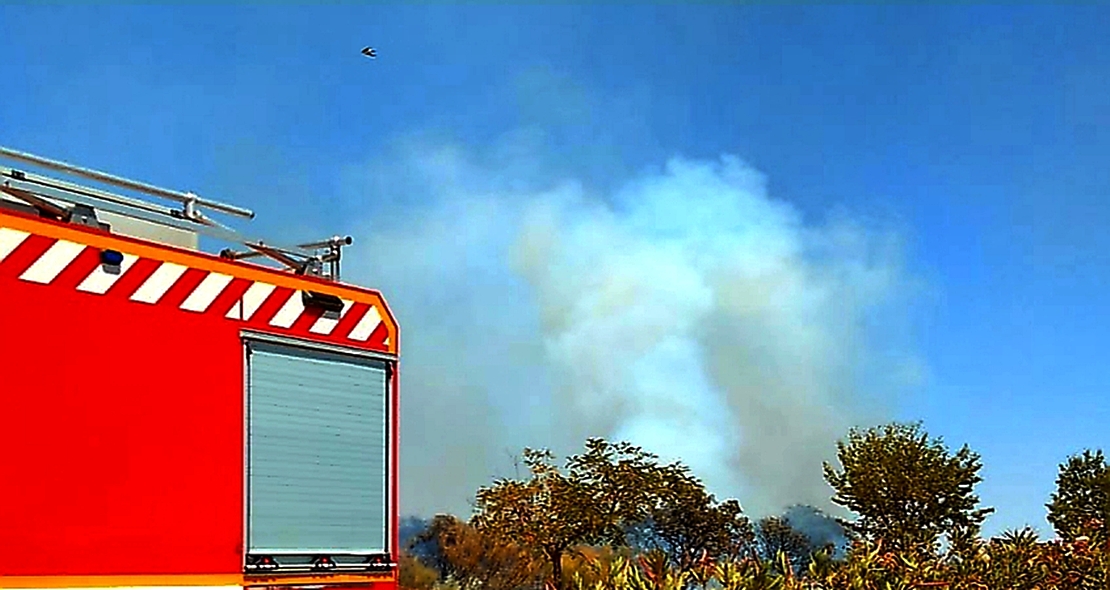 Incendio forestal Nivel 1 en Calzadilla de los Barros (BA)