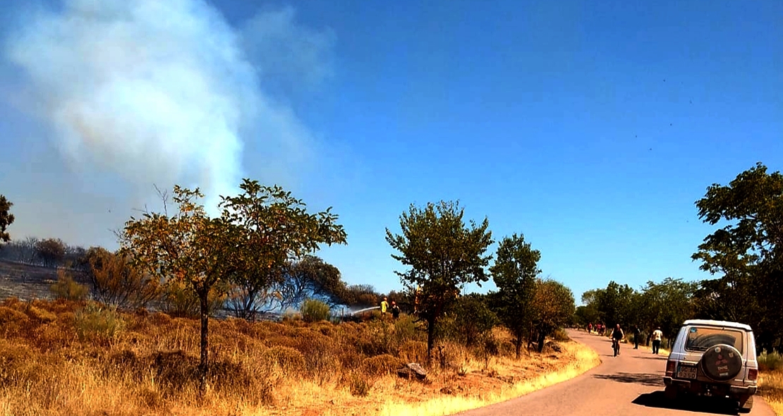 Incendio forestal Nivel 1 en Calzadilla de los Barros (BA)