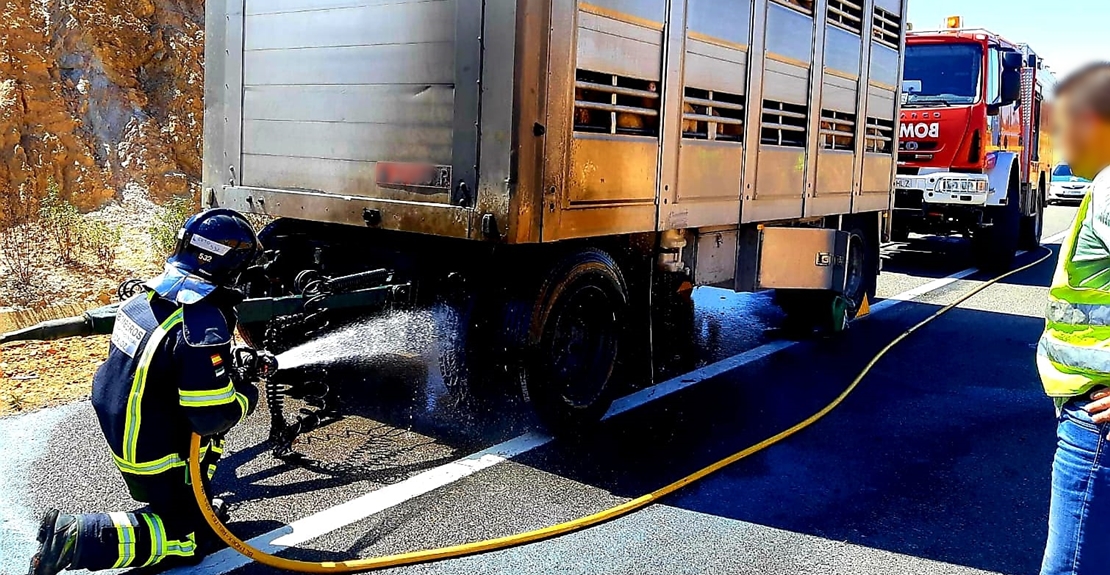 Incendio y accidente en dos tráilers cargados de ganado (BA)