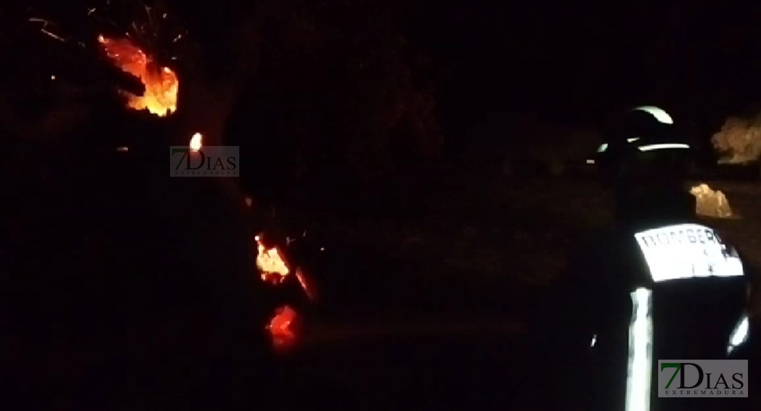 Se queman más de 40 hectáreas de enorme valor ecológico en Herrera del Duque