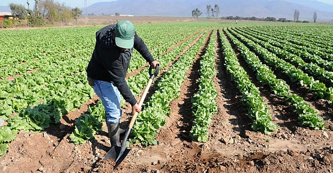 Apoyo “masivo” a la manifestación de los agricultores ante los bajos precios