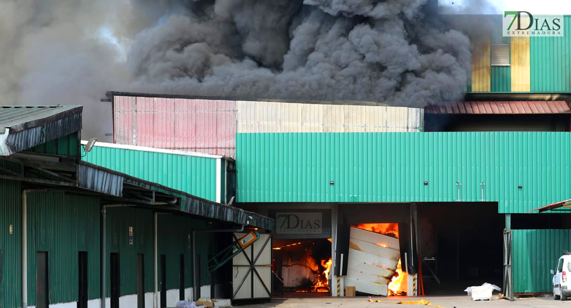 Imágenes del grave incendio en la Panificadora