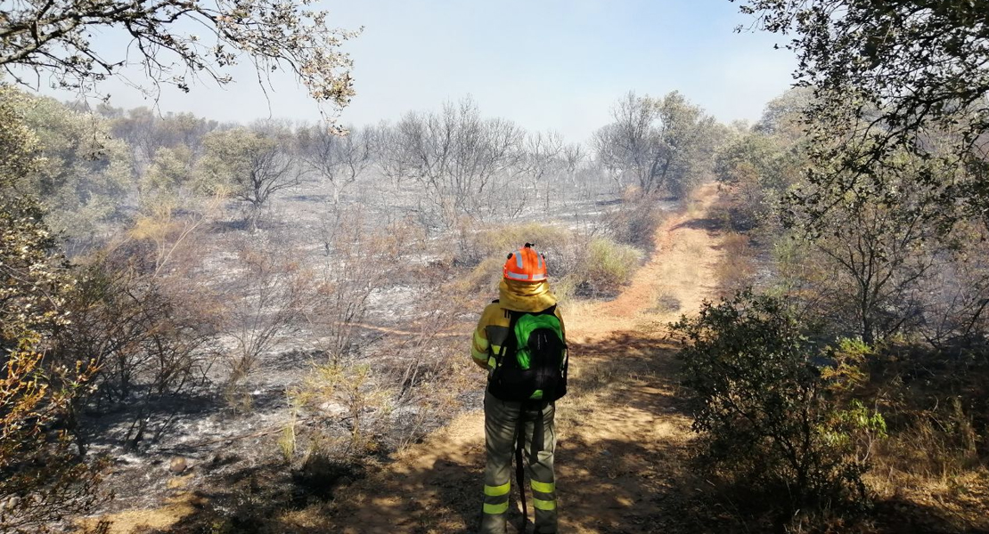 Los bomberos estabilizan un incendio en Bohonal de Ibor e intervienen en otros 2 focos