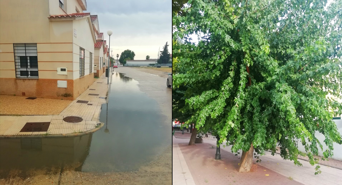 Ciudadanos Moraleja exige al equipo de gobierno que “limpie” parques y calles de la localidad